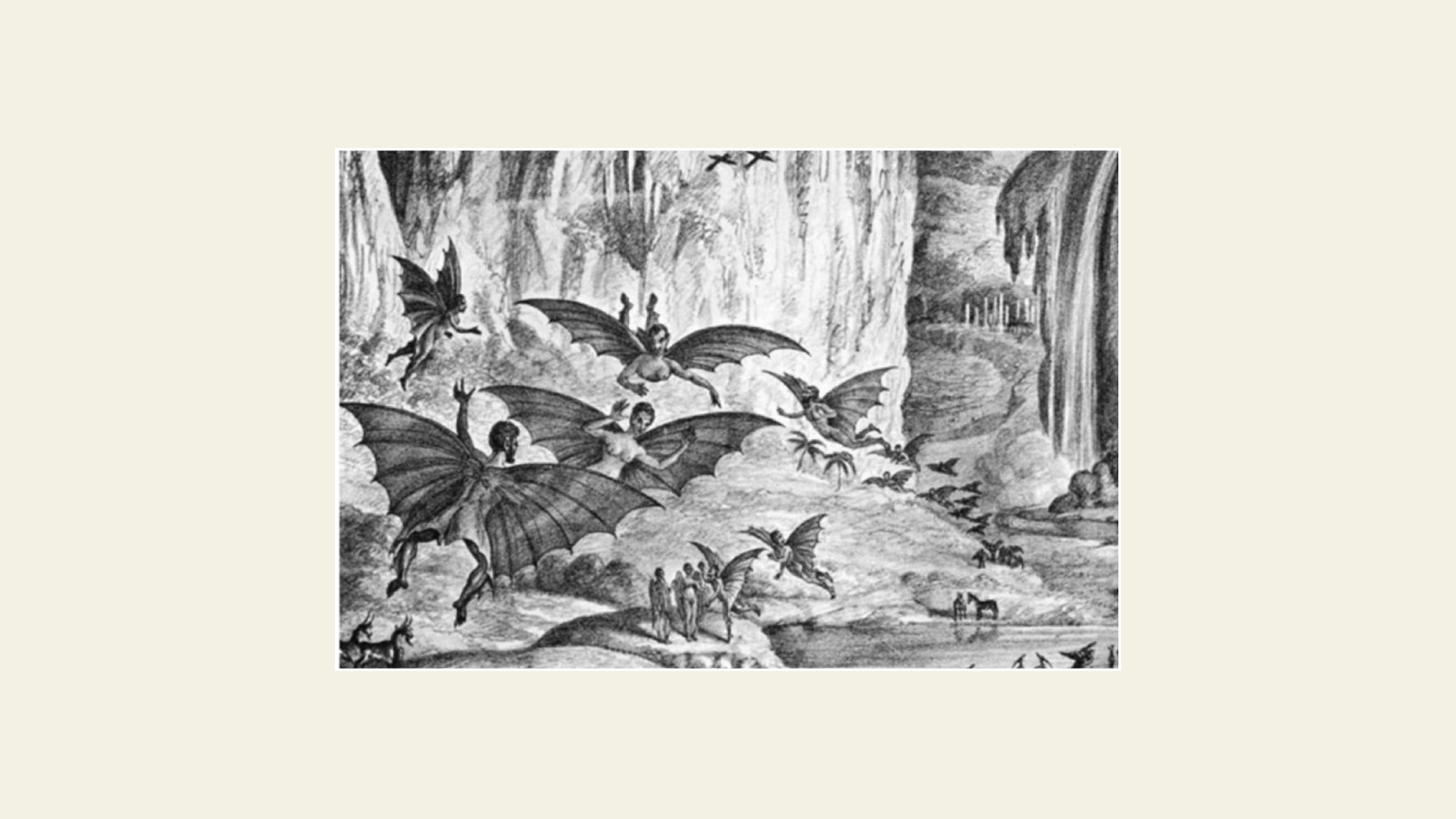 illustration hommes chauve souris