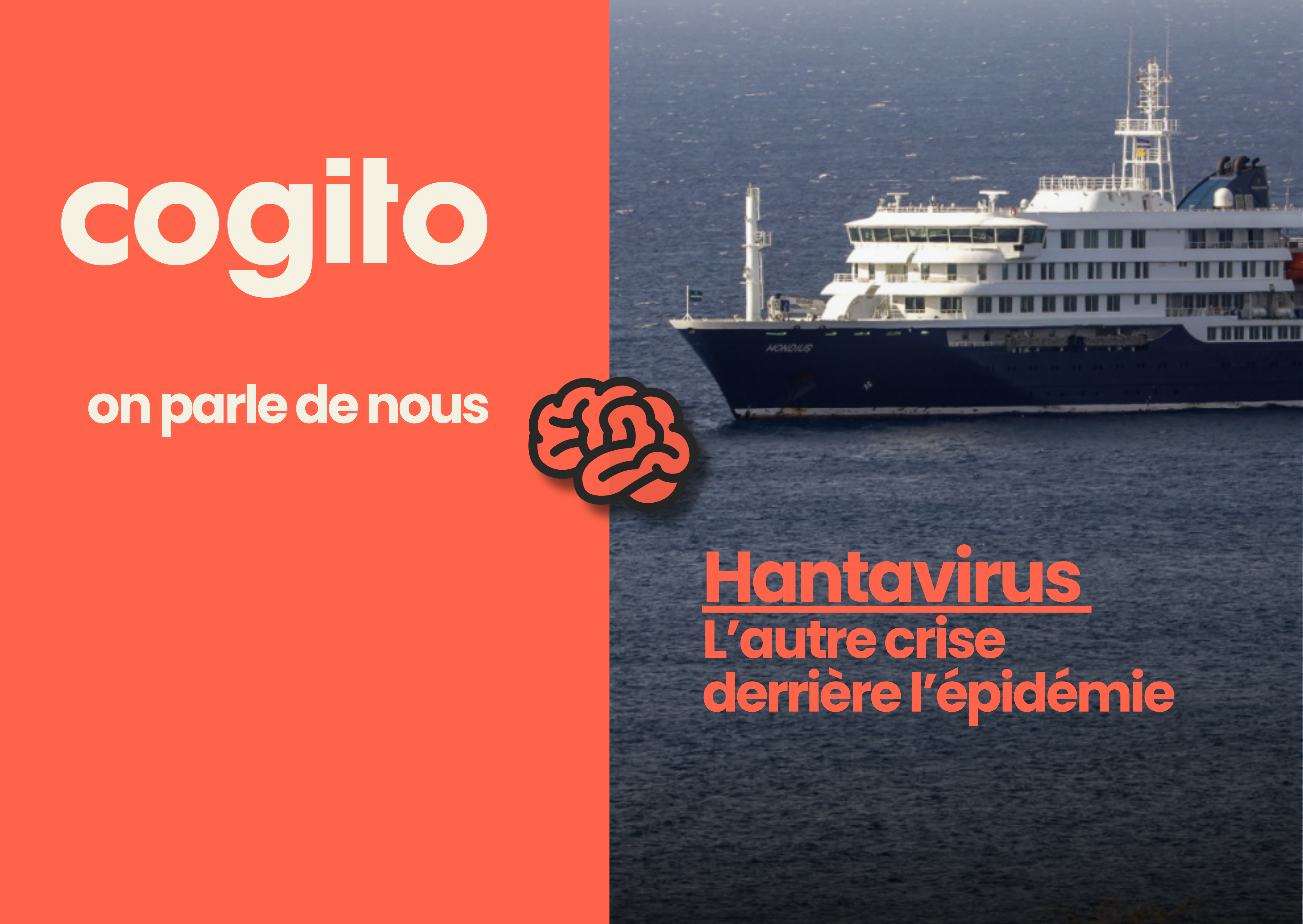 Image de couverture: Hantavirus : L’autre sujet derrière l’épidémie